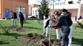 „Școala Altfel” și „Săptămâna verde” s-ar putea schimba după rezultatele PISA. Ce vrea ministrul Educației