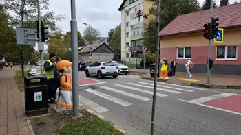 Cum arată 