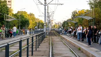 De ce sunt atât de mulți șobolani într-o zonă centrală din București. Două probleme fac inutilă deratizarea, explicaţiile Primăriei Capitalei