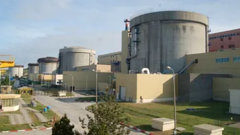 Un mare furnizor de energie și-a cerut insolvența. Ce s-a întâmplat după oprirea centralei de la Cernavodă
