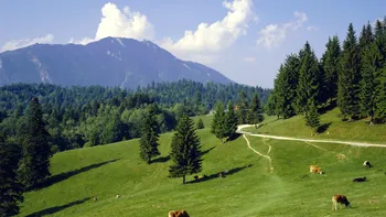 Locul din România unde nu ai nevoie de mașină în vacanță. A depășit Madeira, Provence și Lacul Como