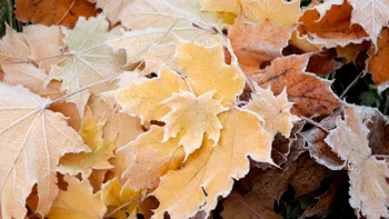 Când vine frigul în România. Vremea se va schimba brusc, prognoza meteo pentru a doua lună de toamnă