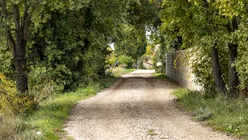 A găsit o piatră verde fluorescentă pe un drum izolat de ţară și a dus-o acasă. Ce era, de fapt. Explicaţia fenomenului