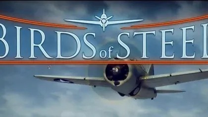 Birds of Steel - Un nou simulator de aviatie