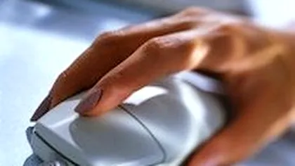 Regulile IT ale unei companii - de respectat sau de evitat?