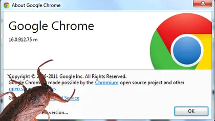 Google pune la bataie un milion de dolari pentru erorile din Chrome