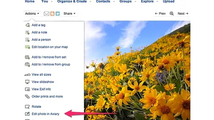 Flickr inlocuieste Piknik cu Aviary pentru editare online