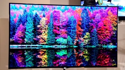 A inceput cursa OLED-urilor... fara produse pe piata