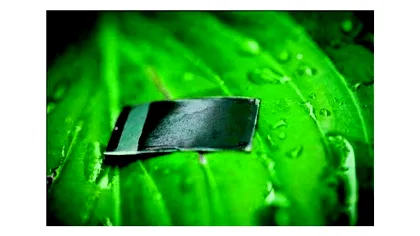 Frunza artificiala, raspunsul pentru viitorul energiei regenerabile?