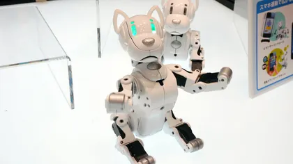 I-SODOG, robotul controlat cu ajutorul smartphone-ului [+VIDEO]