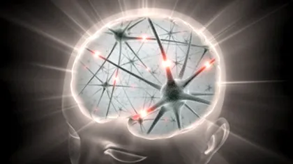 Stephen Hawking lucreaza cu o noua creatie: Big Brain - super computer