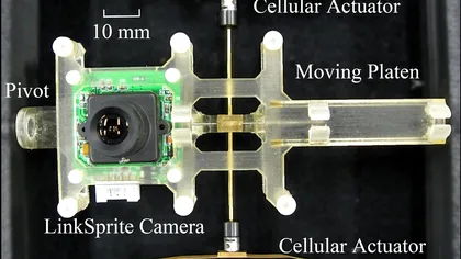 Un nou sistem optic permite robotilor miscarea 