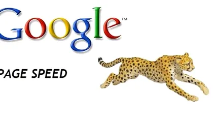 Serviciul PageSpeed de la Google a primit un update