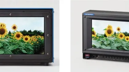 Cel mai mic panou 4K din lume este… foarte mic