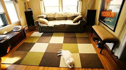 Au aparut covoare inteligente care pot salva vieti