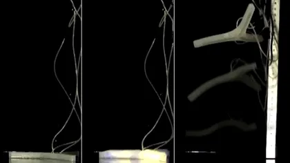 Au aparut robotii sportivi de performanta