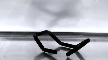 Imprimarea 3D s-a invechit, a venit timpul pentru 4D