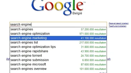 Google nu e responsabil de sugestiile pe care le face