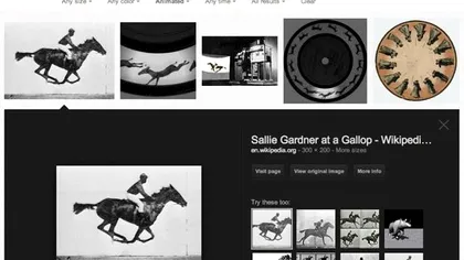 Google Image Search face mai multe lucruri peste noapte