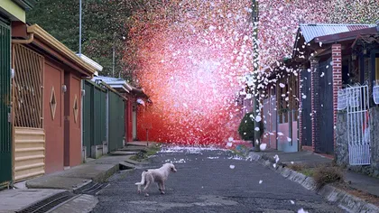 Printr-o noua reclama, Sony justifica tranzitia la 4K [VIDEO]