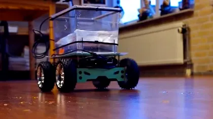 Fish on Wheels - Cum se deplasează un peşte... pe patru roţi? [VIDEO]