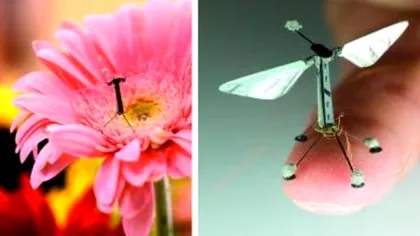 Cercetătorii creează drone minuscule, inspirate de natură