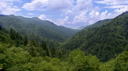 Google Maps 8.1.0 aduce Terrain View pentru dispozitivele mobile