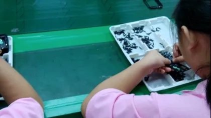 Telefoanele de milioane de euro ale Samsung, fabricate în China de minori prost plătiți