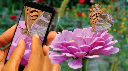 OmniVision dezvăluie doi noi senzori de 21 și respectiv 24 Megapixeli pentru smartphone