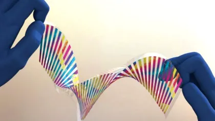 Materialul care imită pielea cameleonului va revoluționa ”arta” războiului