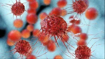 Oamenii de știință au descoperit accidental o metodă de a trata o formă gravă de leucemie