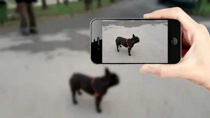 Wolfram Alpha știe ce este în fiecare poză pe care i-o arăți, folosind inteligența artificială