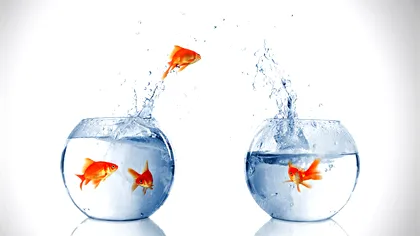 Cele mai bune site-uri de transfer de date