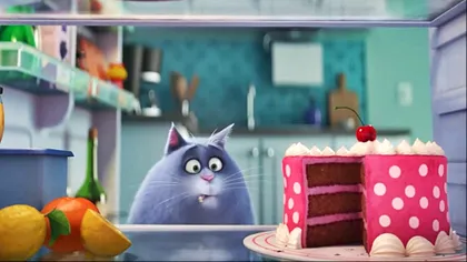 Filmul The Secret Life of Pets îți arată ce fac animalele de companie în timpul liber [VIDEO]