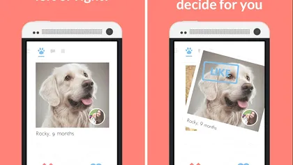 Cum îți poți folosi câinele ca să ”agăți” în această aplicație