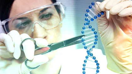 Știința din spatele orientării sexuale: homosexualitatea nu e o alegere [VIDEO]