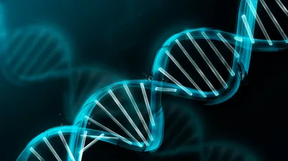 Harta genetică a Europei: România este printre cele mai diverse țări