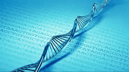 Computerele organice din ADN ar putea fi viitorul medicinei