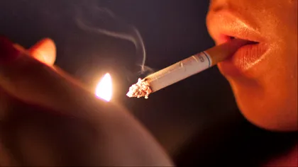 Tutunul ar putea contribui la vindecarea cancerului