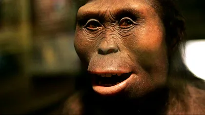 Google o aniversează pe Lucy Australopithecus, unul dintre strămoșii noștri