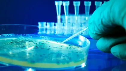 Cercetătorii au printat 3D celule stem embrionare