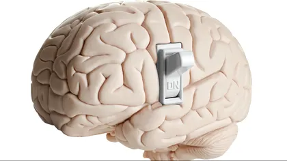 Conștiența umană ar putea avea un buton de pornire/oprire, localizat în creier