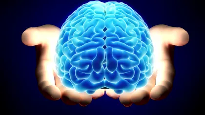 A fost găsită pentru prima oară dovada că inteligența e în celulele din creier