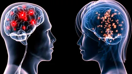 Creierul feminin și cel masculin nu sunt atât de diferite pe cât ai crede