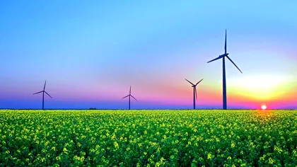 Un covor de iarbă din plastic ar putea da energie electrică cu ajutorul vântului
