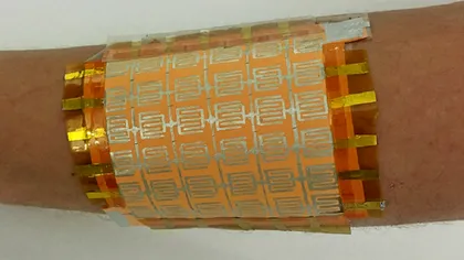 Oamenii de știință au creat un prototip ieftin de piele umană