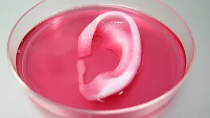 Imprimanta 3D care poate printa oase, mușchi și cartilaje