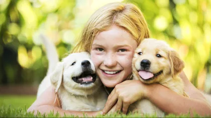 Cea mai simpatică inițiativă: Uber îți aduce la comandă cățeluși