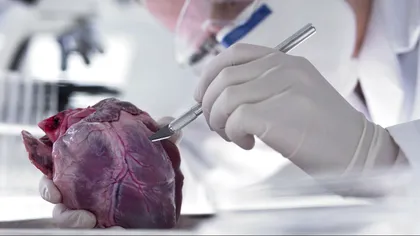 Bandajul-cyborg care poate 