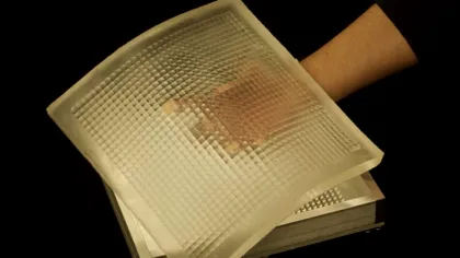 Această cameră flexibilă face fotografii din unghiuri surprinzătoare